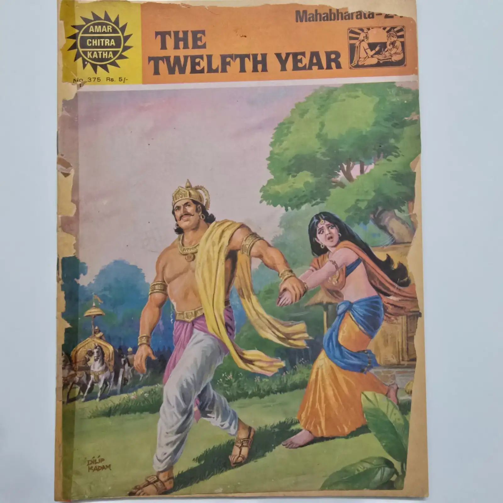 The Twelfth Year comic cover